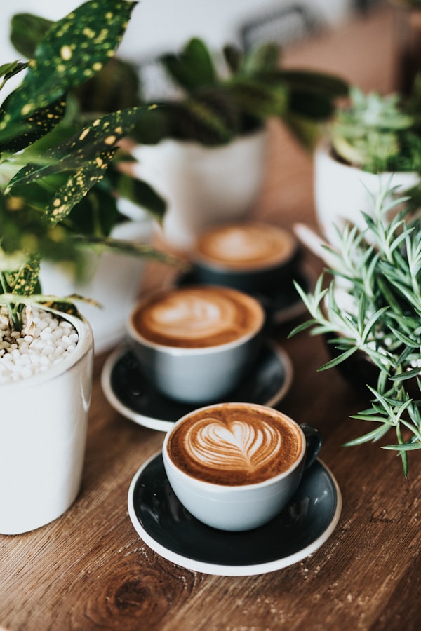 Death Wish strong coffee