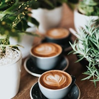 Coffee Origins